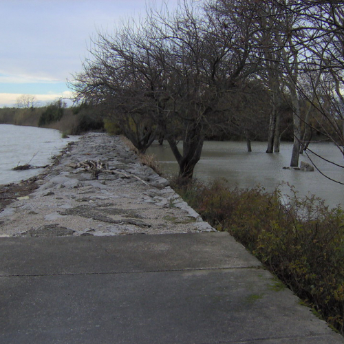 Lignano mareggiata 01/12 n. 4 / 32744