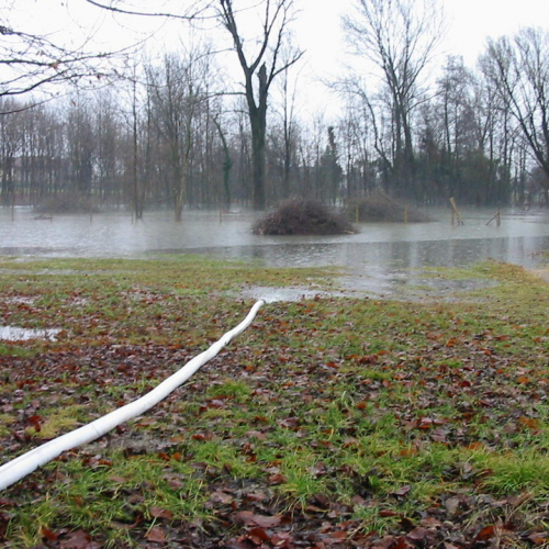 Intervento 21/01 n. 4 / 34369