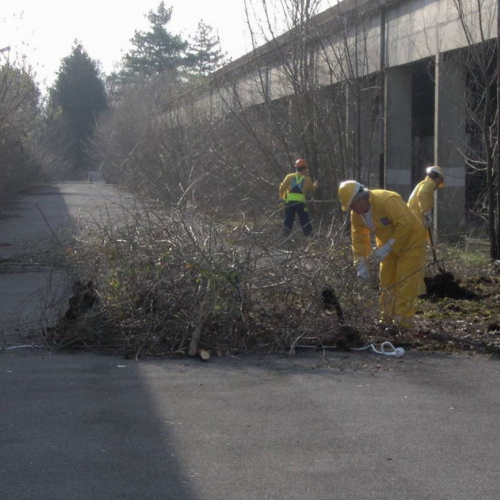 Addestramento 14/03 n. 3 / 35969