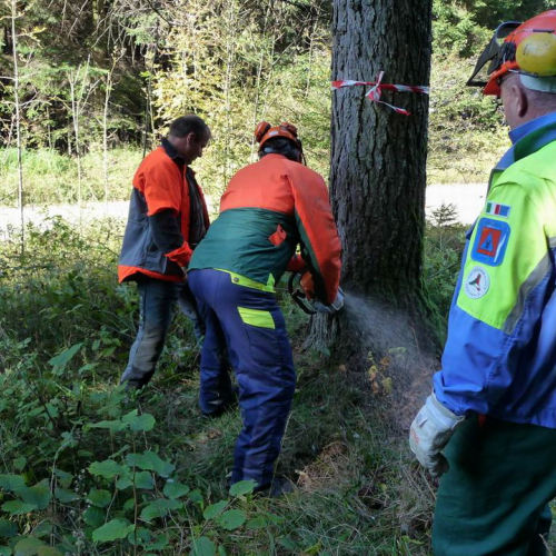 Corso motosega 10/10/10 n. 5 / 56971