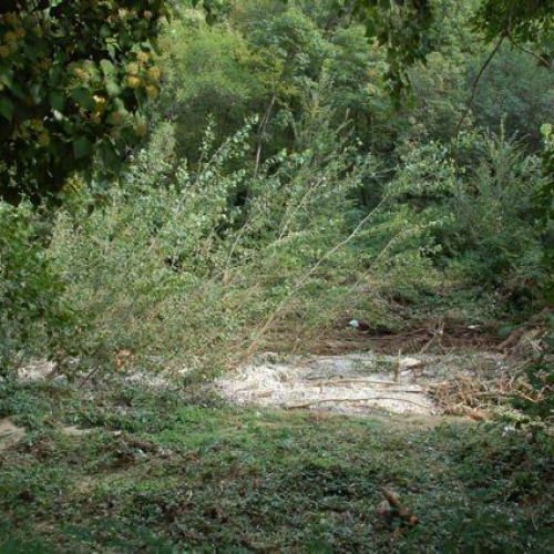 Lavori Torrente Rosandra n. 4 / 56691
