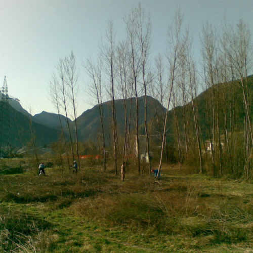 Attivit‡ 02/04/11 n. 4 / 63428