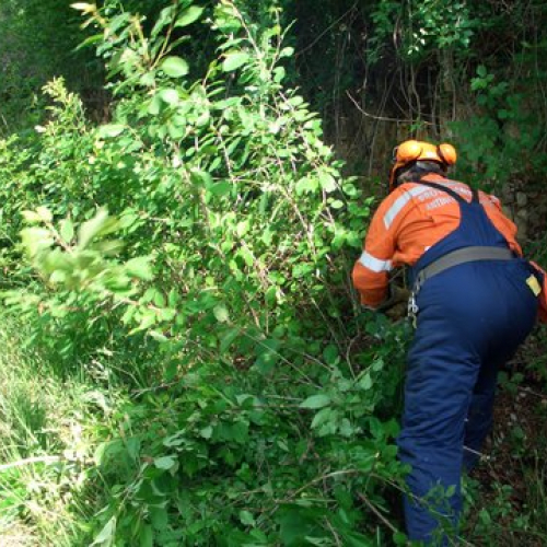 attivit‡ ripristino di una pista forestale n. 4 / 53622