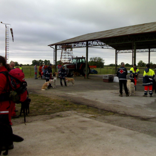 Attivit‡ del gruppo cinofili di Sequals 147 / 13894