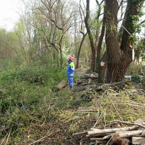 Intervento Ronchis n. 5 / 78900