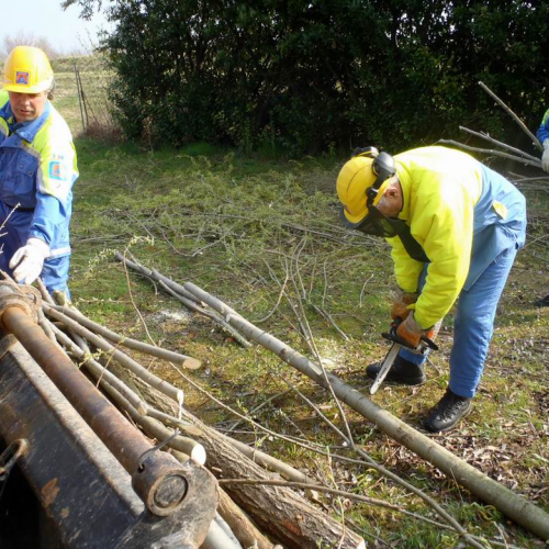 Intervento Caneva n. 5 / 78856