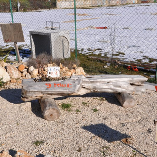 Consegna materiale didattico n. 26 / 47995