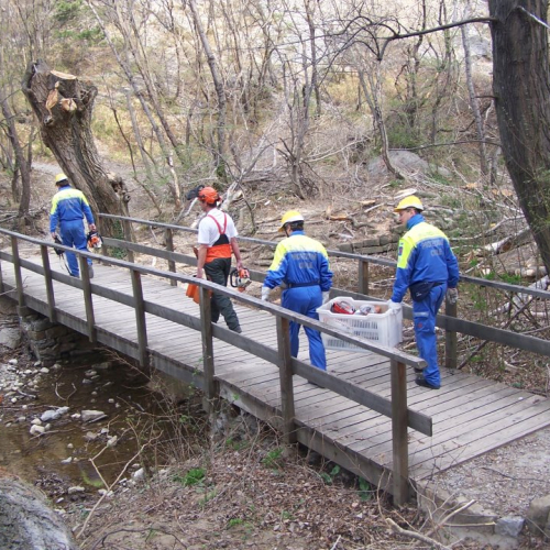 Intervento San Dorligo della Valle - Dolina n. 5 / 79117