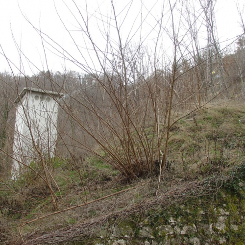 foto esercitazione n. 6 / 21406