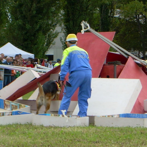 Attivita dimostrativa 21/09 n. 5 / 29310