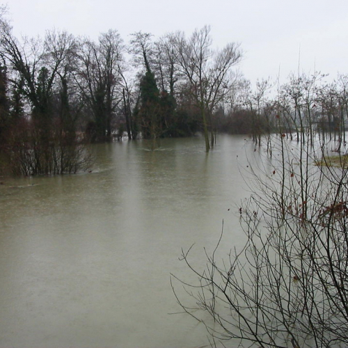 Intervento 21/01 n. 5 / 34370