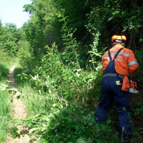 attivit‡ ripristino di una pista forestale n. 5 / 53623