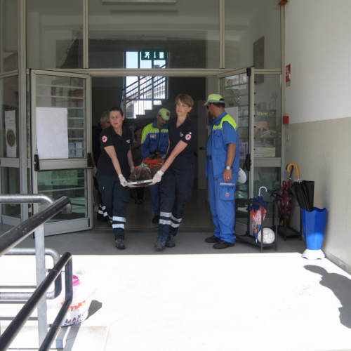 Evacuazione scuola n. 1 / 41218