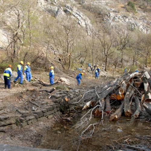 Intervento San Dorligo della Valle - Dolina n. 6 / 79118