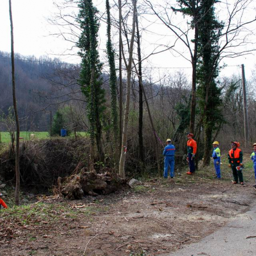 Intervento Attimis n. 6 / 78793