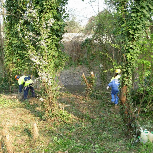 Intervento Ronchis n. 6 / 78901