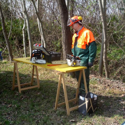 Intervento Fanna n. 5 / 78934