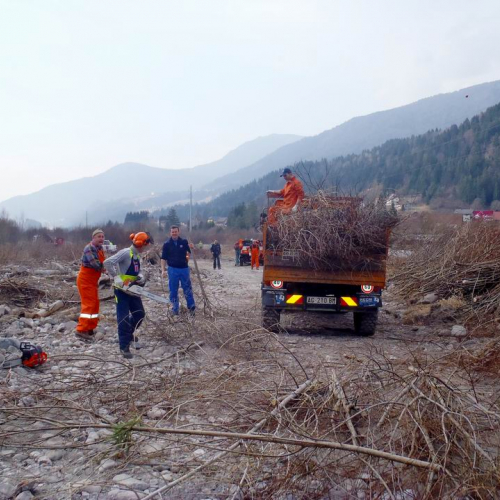 Intervento Ovaro n. 6 / 78988