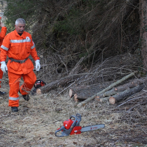 Addestramento 14/03 n. 6 / 36163