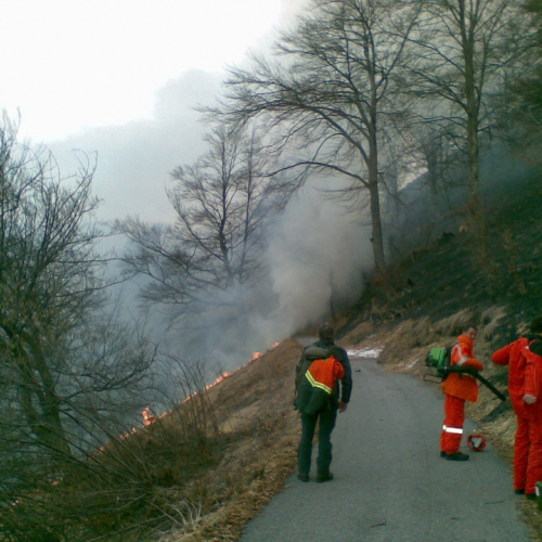 Incendio Curiedi n. 2 / 60956