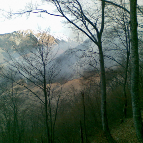 Incendio Curiedi n. 3 / 60957