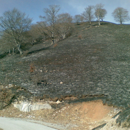 Incendio Curiedi n. 4 / 60958