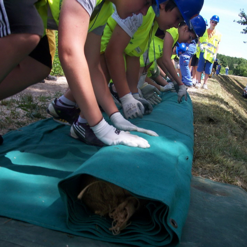 Campo formativo Prata di Pordenone n. 21 / 68864