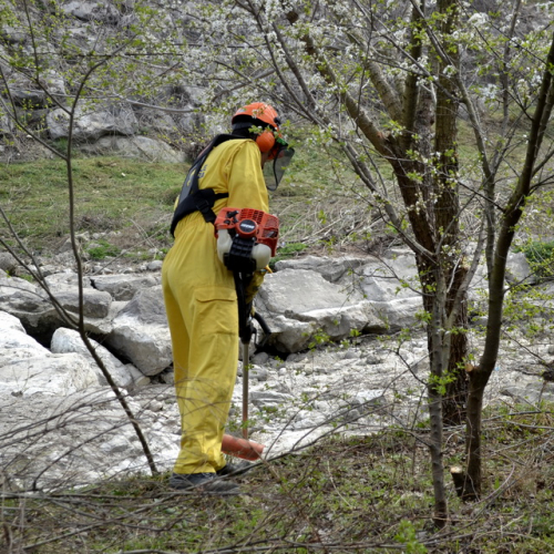 Intervento Torrente Cormor in localit‡ Basaldella n. 62 / 78576
