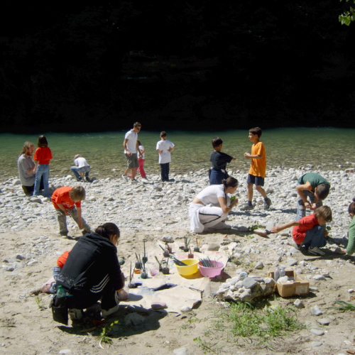 centro Estivo n. 6 / 27799