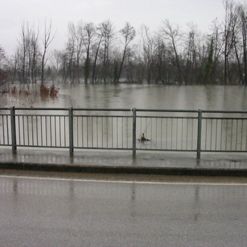 Intervento 21/01 n. 6 / 34371