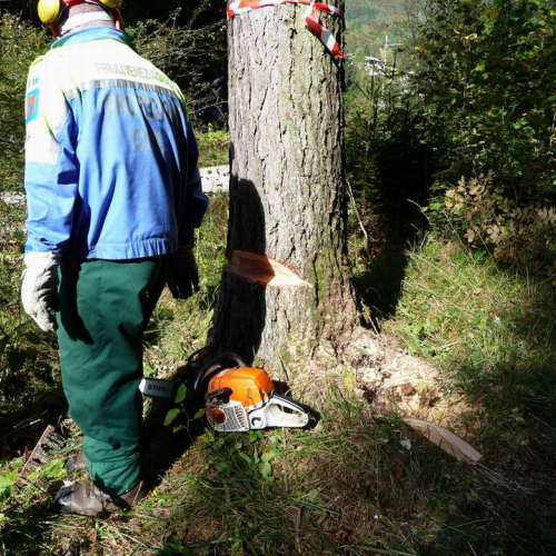 Corso motosega 10/10/10 n. 7 / 56973