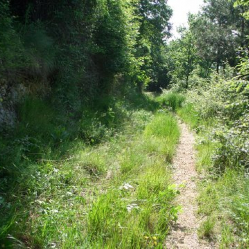 attivit‡ ripristino di una pista forestale n. 6 / 53624