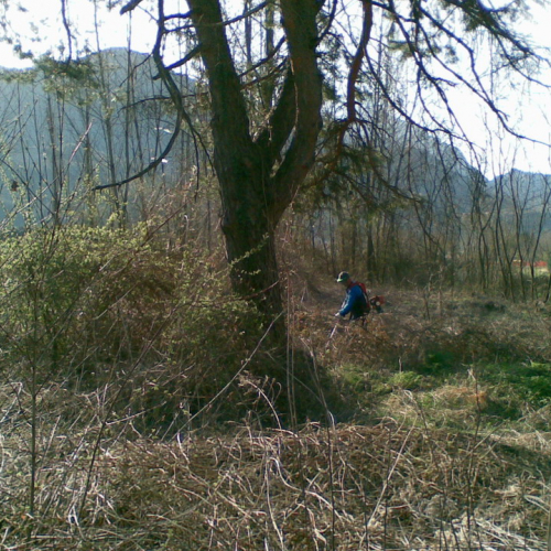 Attivit‡ 02/04/11 n. 6 / 63430