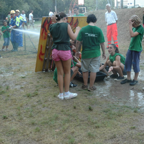 G.R.E.S.T. 2011 n. 38 / 70381