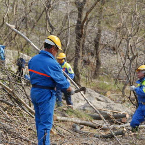 Intervento San Dorligo della Valle - Dolina n. 7 / 79119