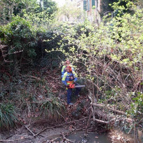 Intervento Ronchis n. 7 / 78902