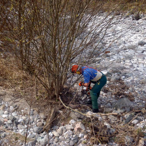 Intervento Ovaro n. 7 / 78989