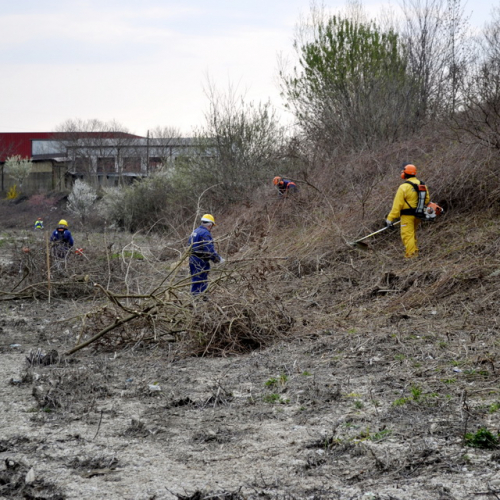 Intervento Torrente Cormor in localit‡ Basaldella n. 67 / 78581