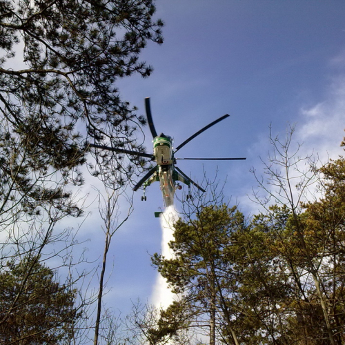 Incendio boschivo Monrupino n. 1 / 77122
