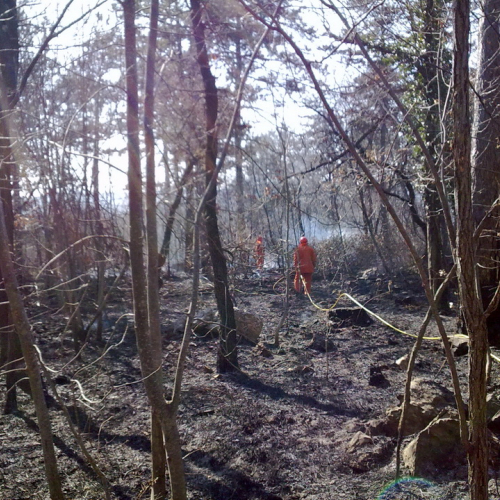 Incendio boschivo Monrupino n. 5 / 77126