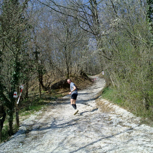 Attivit‡ di supporto 07/04/13 n. 3 / 94209