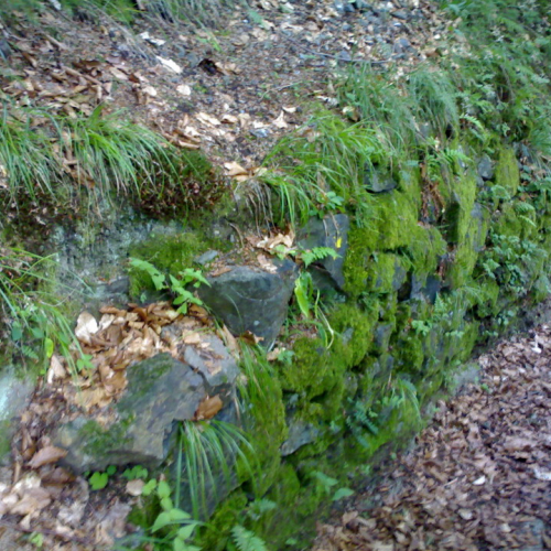 Situazione pre-intervento OPI CD6/705.034 n. 2 / 70509