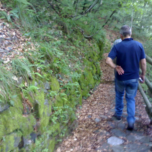 Situazione pre-intervento OPI CD6/705.034 n. 3 / 70510