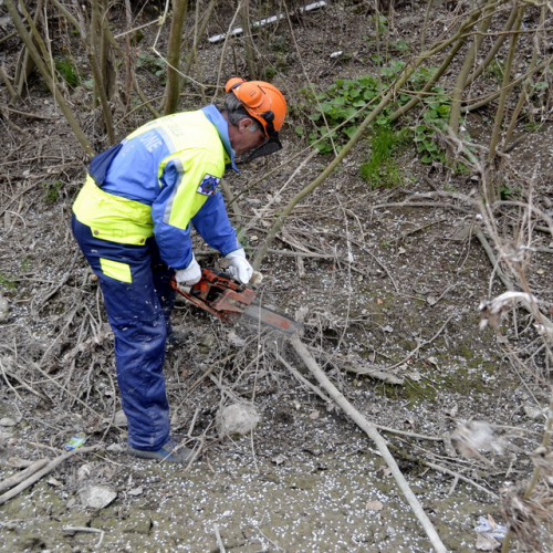 Intervento Torrente Cormor in localit‡ Basaldella n. 69 / 78583