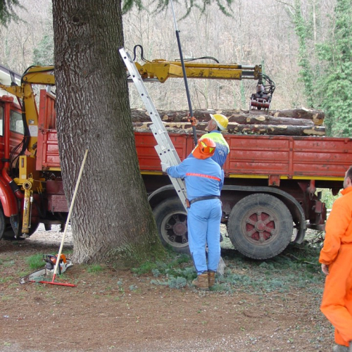 foto esercitazione n. 8 / 21408