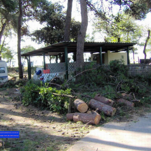 Volontari a Grado per emergenza 9 agosto 7 / 28018