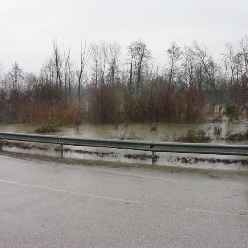 Intervento 21/01 n. 7 / 34372