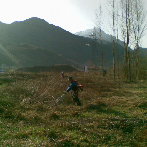 Attivit‡ 02/04/11 n. 7 / 63431
