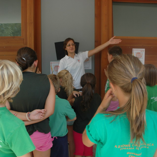 G.R.E.S.T. 2011 n. 50 / 70393