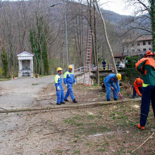 Intervento Attimis n. 8 / 78795